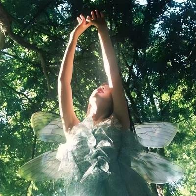 约定的梦幻岛